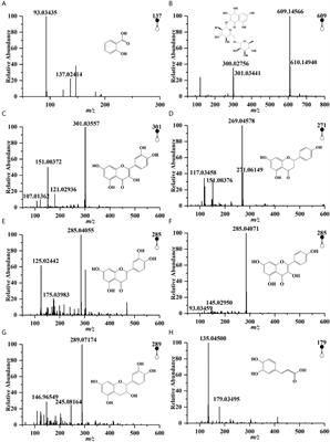 Monofloral Triadica Cochinchinensis Honey Polyphenols Improve Alcohol-Induced Liver Disease by Regulating the Gut Microbiota of Mice